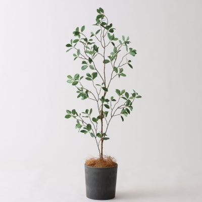 高さ100-120cm | プレミアム光触媒フェイクグリーン 造花ドットコム 