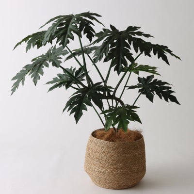 高さ100-120cm | プレミアム光触媒フェイクグリーン 造花ドットコム 