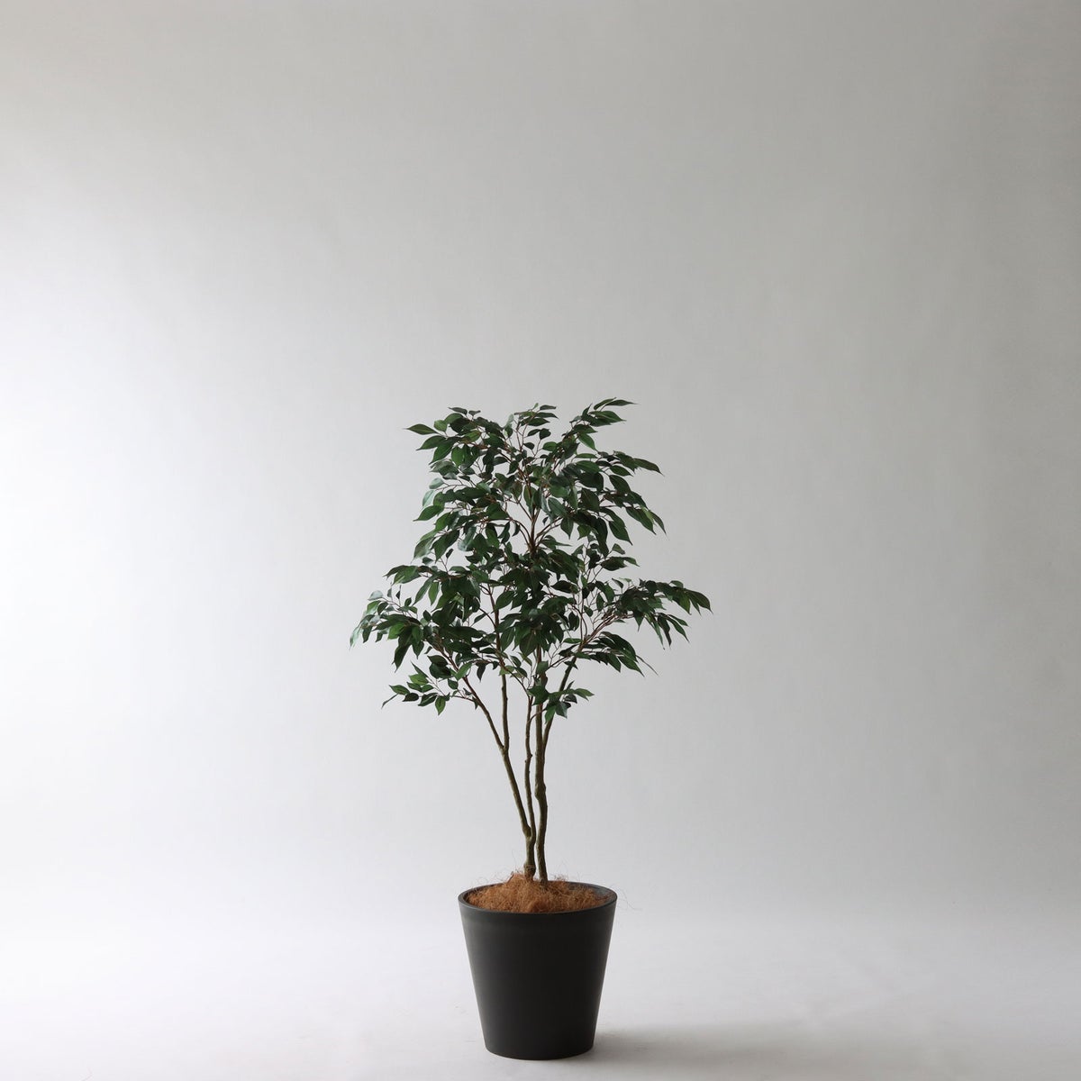 【使用イメージ】No8414(＋10cm)